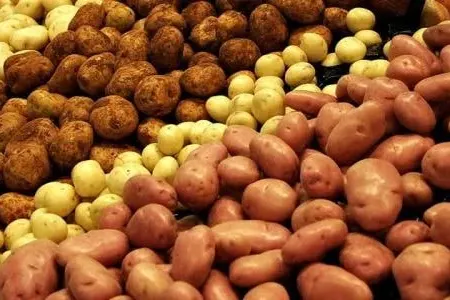 Kartofu çox sevənlərə pis xəbər