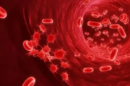 Qanı az olanlar oxusun