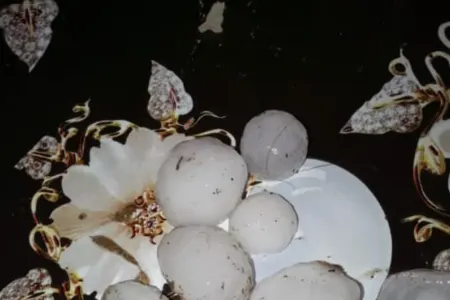 Tovuzun bu kəndlərinə dolu düşdü - FOTO