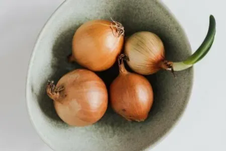 Bu şəxslərə soğan yemək olmaz