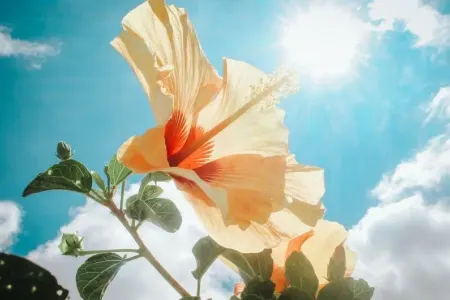 Bayram gününün havası açıqlandı