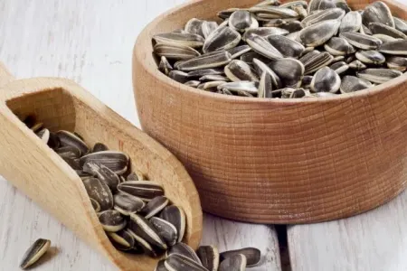 ''Semiçka” nın bu faydalarını heç bilmirdiniz