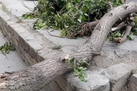 Bakıda güclü külək ağacı qadının üzərinə aşırdı