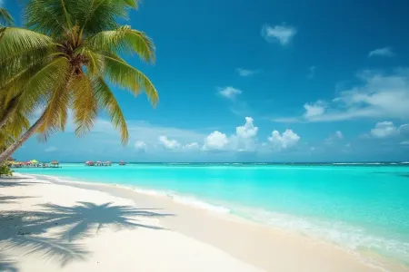 Dünyanın ən MƏŞHUR çimərlikləri