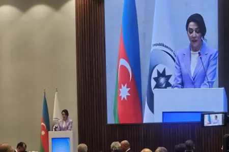 "Qanunun aliliyinin əsası güclü hüquqi baza və nəzarətdir" - Səbinə Əliyeva