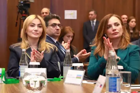 Ruhiyyə Əliyeva Ombudsmanların Beynəlxalq Simpoziumunda - İŞTİRAK ETDİ