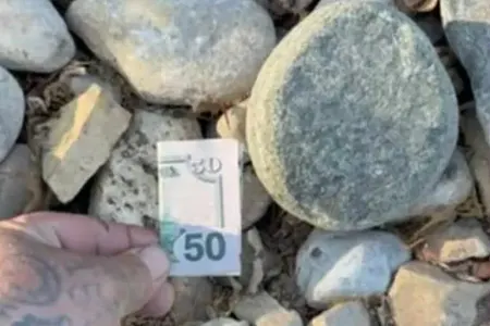 Pulu şəhərin müxtəlif yerlərində gizlədir