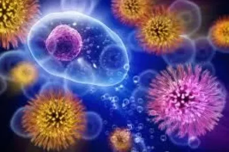 Alkoqol istəyini əngəlləyən beyin hüceyrələri tapıldı