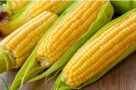 Qarğıdalı yeməyin faydası