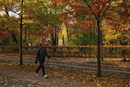 Belin ağrıyır? - Alimlər deyir ki, gəzən adamlar...