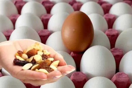 Bu 3 çərəz - yumurta qədər tox tutur