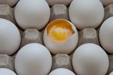 Çatlamış yumurta çox təhlükəlidir!