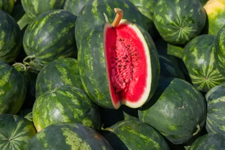 Qarpızın çölündə bu işarə varsa, - ləzzətlidir