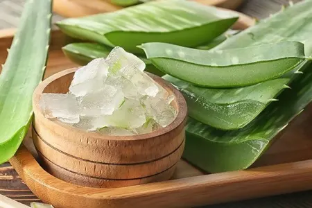Aloe veranın gözəllik və sağlamlığa faydaları