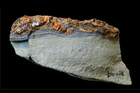 115 milyon yaşı olan kəhrəba tapıldı