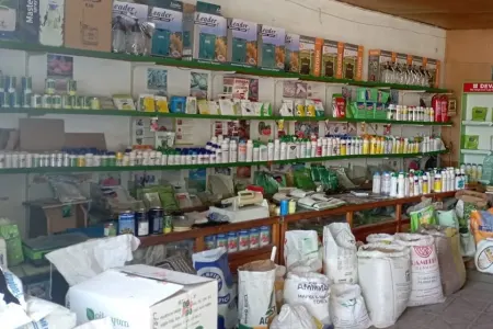 Bu mağazada vaxtı keçmiş məhsullar satılır