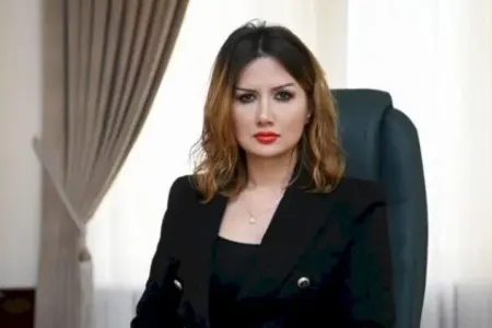 Ülviyyə Zülfiqar yeni vəzifəyə TƏYİN EDİLDİ