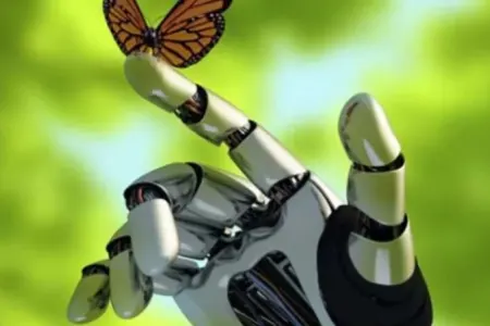 Hər Aİ-yə verilən sual havanı çirkləndirir - ALİMLƏR