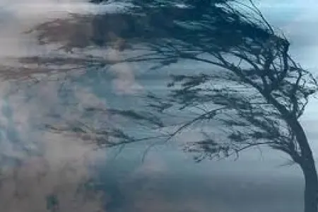 Küləkli hava şəraiti ilə bağlı sarı və narıncı xəbərdarlıq VERİLDİ