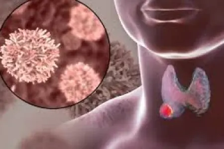 Xərçəngə səbəb ola bilən vitaminlər: - ARAŞDIRMA