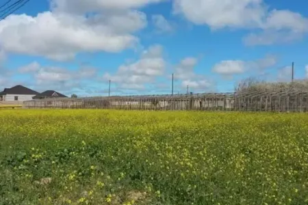 Xəbəri olmadan pay torpağı başqasının adına satıldı... - VİDEO