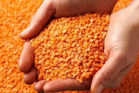 Qırmızı mərci nəyə faydalıdır?