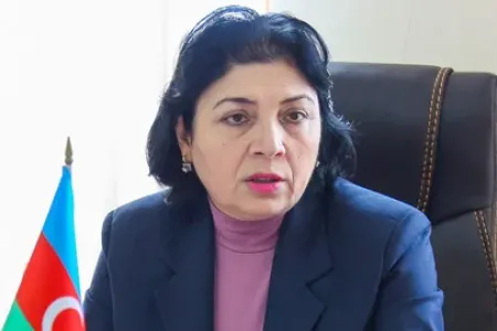 Sayalı Sadıqova: “Dilimizdəki bu terminlərdən imtina edilməlidir”