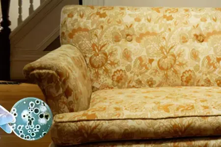 Tualetdən 75 dəfə daha çirkli!