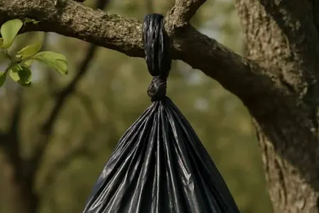 Ağacda asılmış qara çanta görsəniz, dərhal oradan uzaqlaşın: - Bu, zibil deyil!