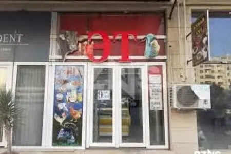 Azərbaycanda ət bahalaşacaq