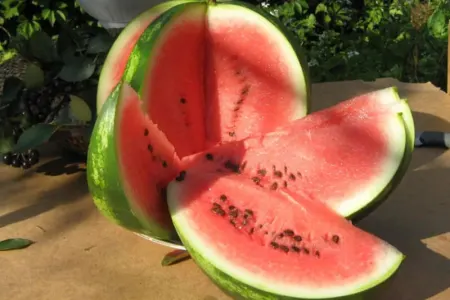 Qarpızdan zəhərlənməmək üçün nə edək?