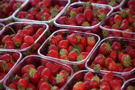 Bazara çiyələk almağa gedəndə özünüzlə salfet götürün: - Ağıllı hiylə