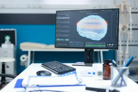 İnsan yaddaşının yeni prinsipi kəşf edildi