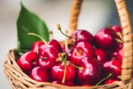 Bu şəxslərə gilas yemək - OLMAZ!