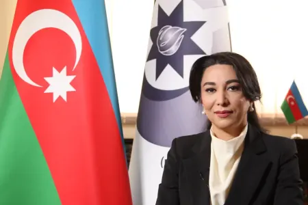 Ombudsman Səbinə Əliyeva növbəti vətəndaş qəbulu keçirdi