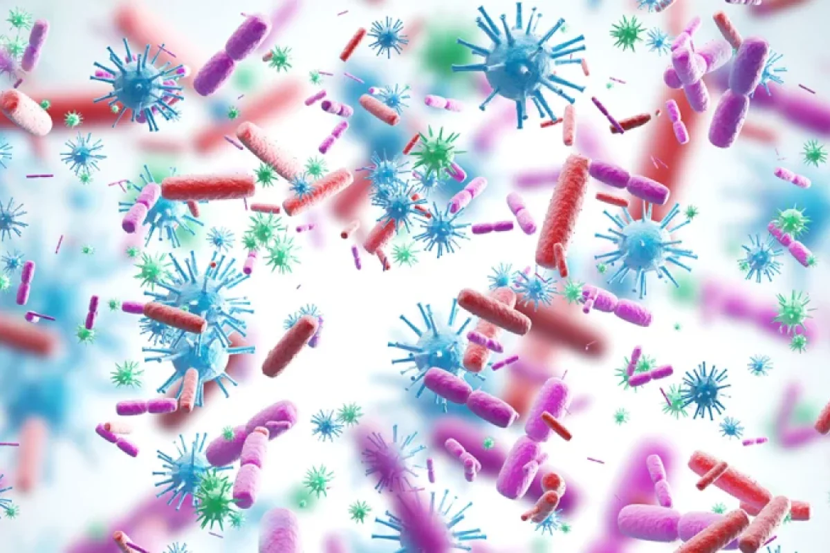 Viruslar beynimizi dəyişdirir - Alimlərdən yeni kəşf