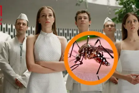 Yayın ƏVƏZOLUNMAZI – Həşəratlar bu rəng geyinənlərə - YAXINLAŞMIR