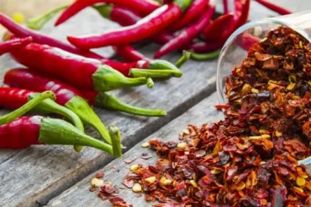 Acı bibər arıqladır