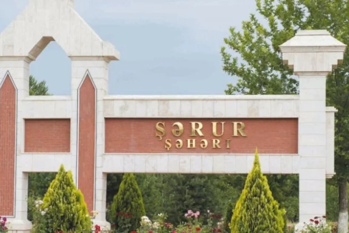 Şərurda ŞOK! Deputat sakini döydü