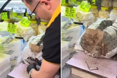 "Bunu necə yeyirlər?"