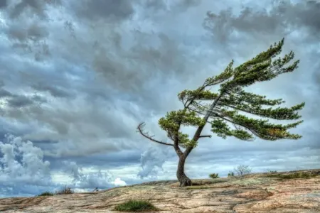 Külək nə vaxt dayanacaq?