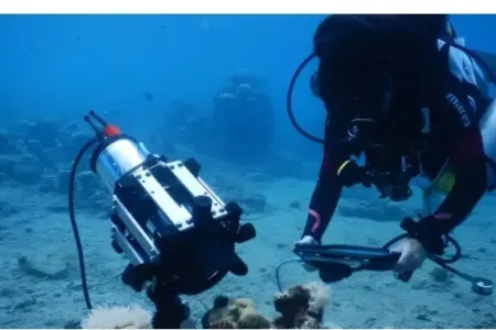 Dəniz dibinə "mikroskoplu çamadan" endirildi: Bəzi sirlər açıldı
