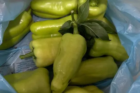 Əvvəllər bunu heç kim bilmirdi: - Bibərləri belə yetişdirin