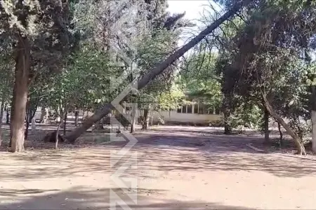 Gəncədə parkda təhlükəli mənzərə