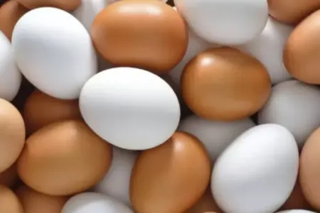 Bu yumurtaları - ALMAYIN