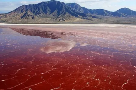 İçinə girən hər şeyi daşa çevirən qırmızı gölün sirri nədir?