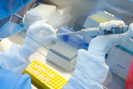 Çində yeni viruslar aşkarlandı - – alimlər xəbərdarlıq edir