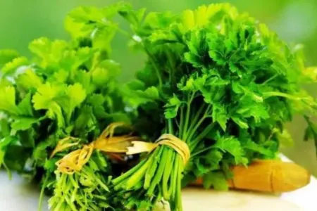 Cəfəri bu xəstəliklərin dərmanıdır