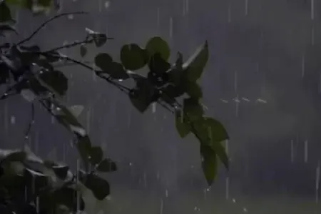 Bu gün bəzi yerlərə yağış yağacaq