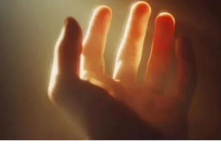 Alimlər genetik sirri açdılar: İnsanlar bədən üzvlərini bərpa edə biləcəklər